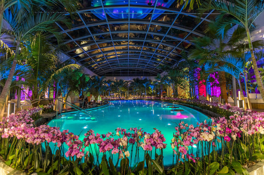 Therme Transfer